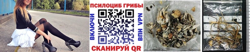маркетплейс как зайти  Алзамай  Галлюциногенные грибы мухоморы 
